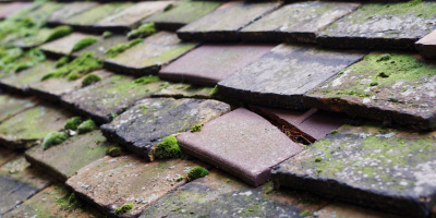 Hungarton roof repair costs